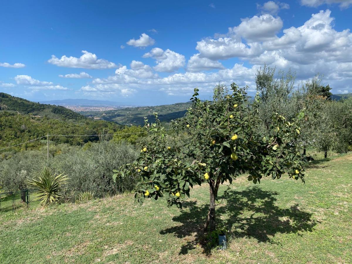 Florence Villa Violetta Bagno A Ripoli Bagian luar foto